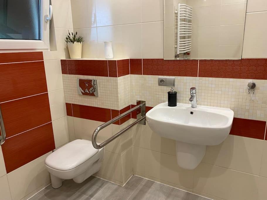 4 Bedroom Family House With Access To A Hot Tub Goczałkowice-Zdrój Exteriör bild