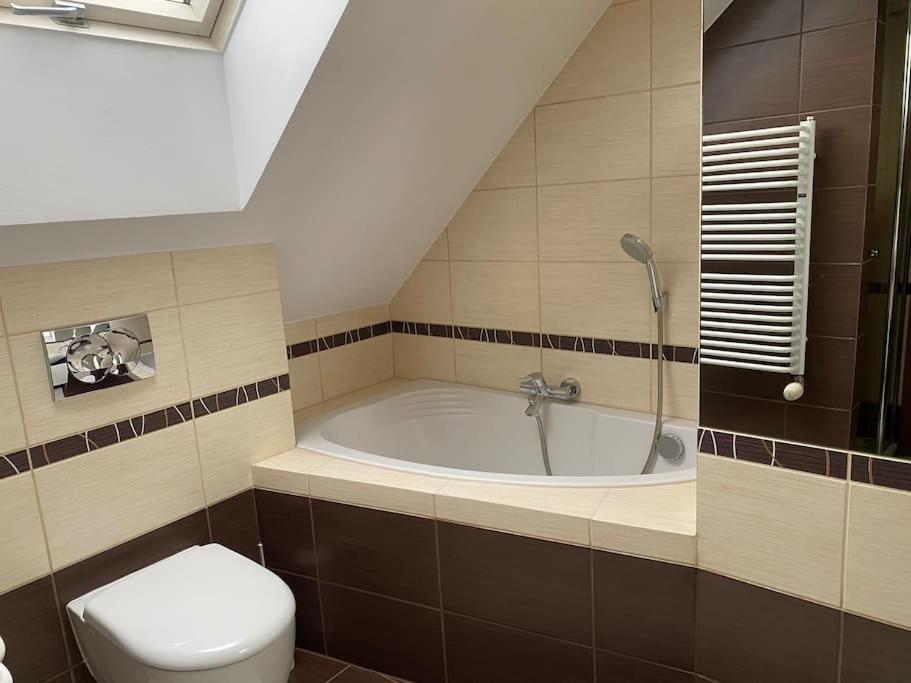 4 Bedroom Family House With Access To A Hot Tub Goczałkowice-Zdrój Exteriör bild