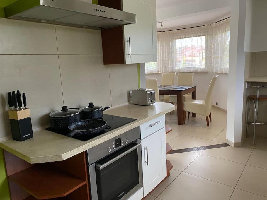 4 Bedroom Family House With Access To A Hot Tub Goczałkowice-Zdrój Exteriör bild
